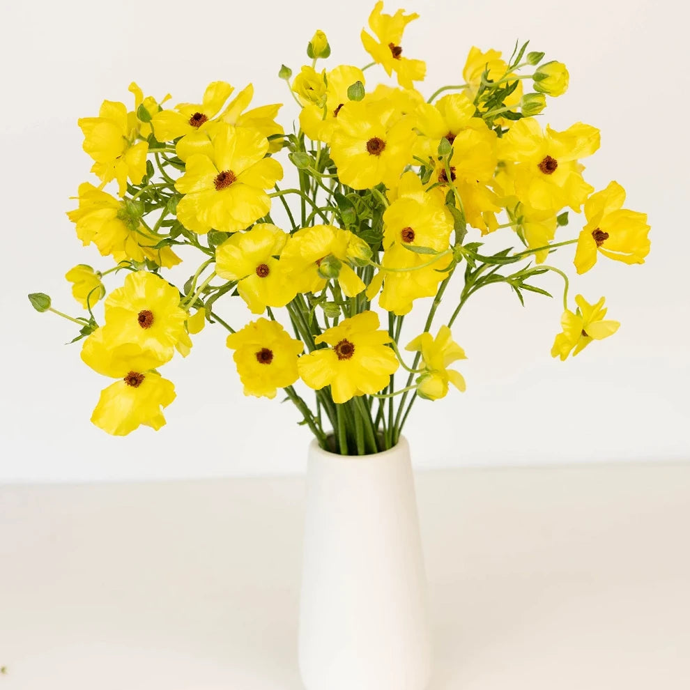 Yellow Butterfly Ranunculus - Yellow - alternative 1