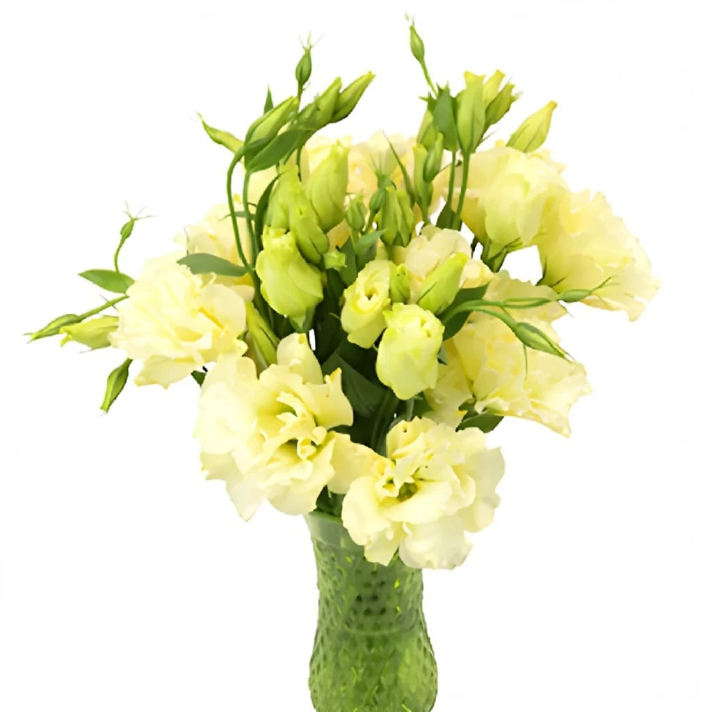 Yellow Lisianthus - alternative 2