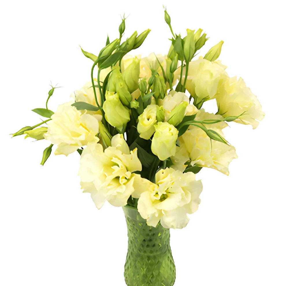 Yellow Lisianthus - main