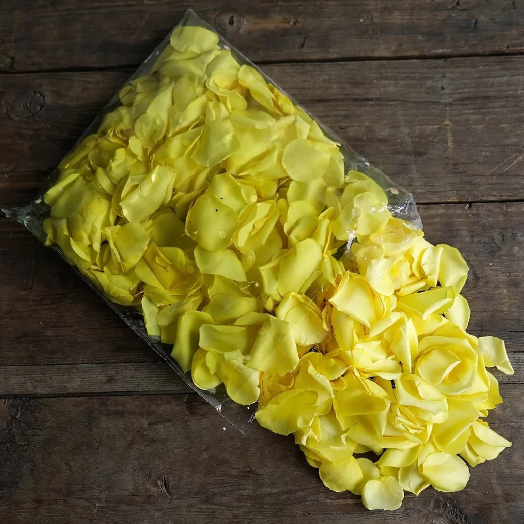 Yellow Rose Petals - alternative 4