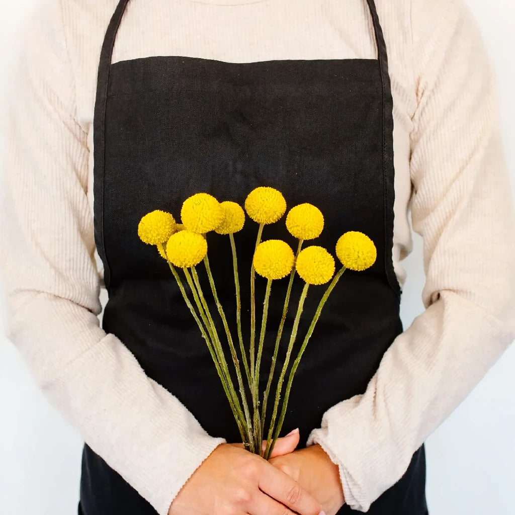 Yellow Craspedia Billy Balls - alternative 1