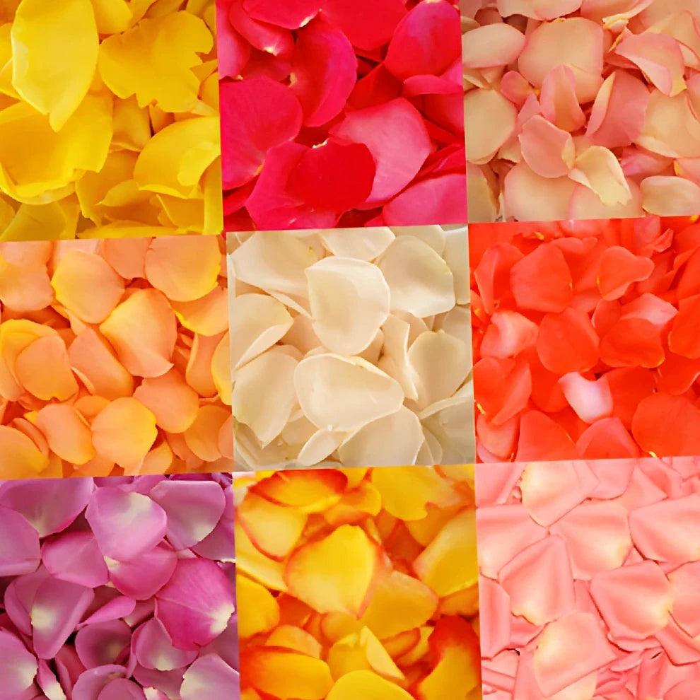 Assorted Rose Petals - alternative 1